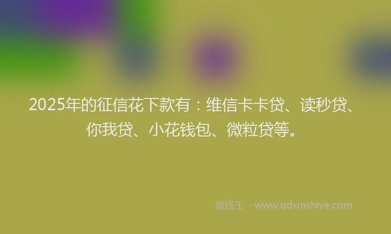 2025年的征信花下款有：维信卡卡贷、读秒贷、你我贷、小花钱包、微粒贷等。
