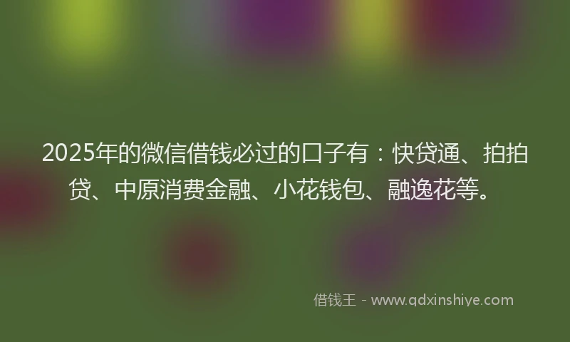 2025年的微信借钱必过的口子有：快贷通、拍拍贷、中原消费金融、小花钱包、融逸花等。