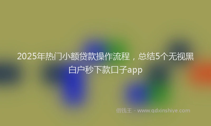 2025年热门小额贷款操作流程，总结5个无视黑白户秒下款口子app