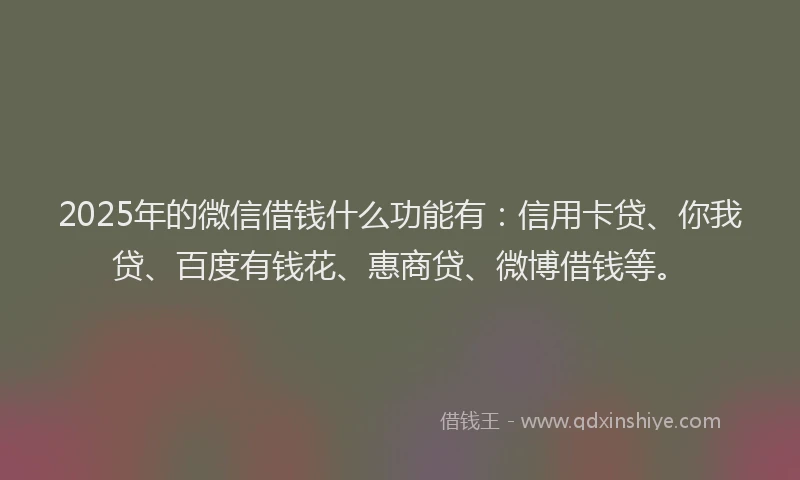 2025年的微信借钱什么功能有：信用卡贷、你我贷、百度有钱花、惠商贷、微博借钱等。