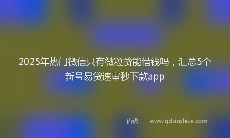 2025年热门微信只有微粒贷能借钱吗，汇总5个新号易贷速审秒下款app