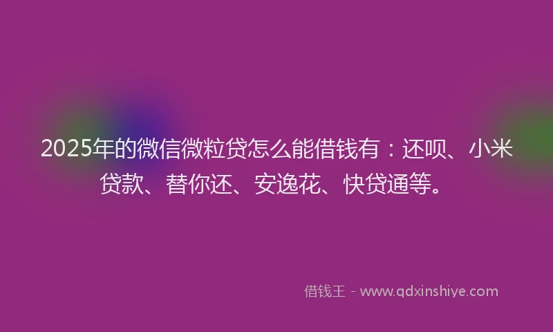 2025年的微信微粒贷怎么能借钱有：还呗、小米贷款、替你还、安逸花、快贷通等。