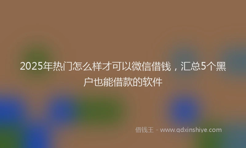 2025年热门怎么样才可以微信借钱，汇总5个黑户也能借款的软件