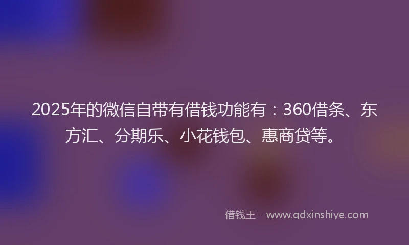 2025年的微信自带有借钱功能有：360借条、东方汇、分期乐、小花钱包、惠商贷等。