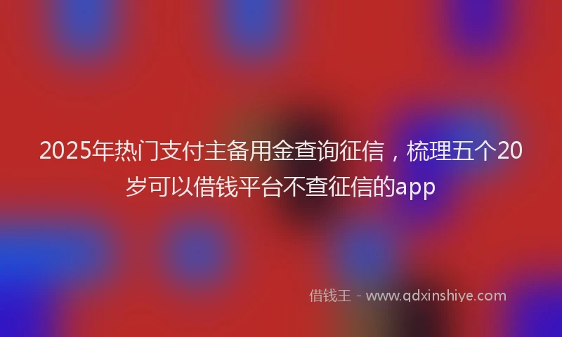 2025年热门支付主备用金查询征信，梳理五个20岁可以借钱平台不查征信的app