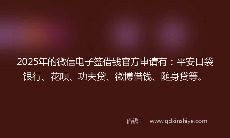 2025年的微信电子签借钱官方申请有：平安口袋银行、花呗、功夫贷、微博借钱、随身贷等。