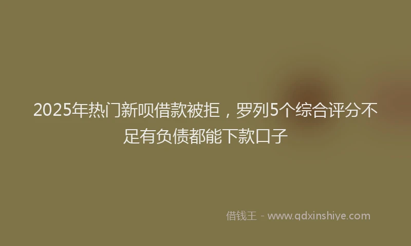 2025年热门新呗借款被拒，罗列5个综合评分不足有负债都能下款口子