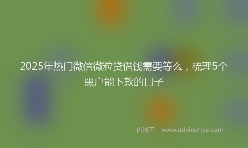 2025年热门微信微粒贷借钱需要等么，梳理5个黑户能下款的口子