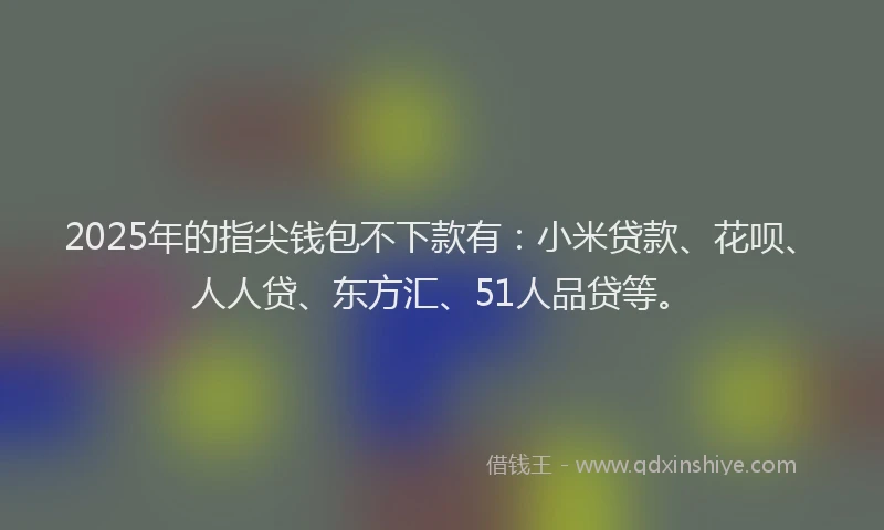 2025年的指尖钱包不下款有：小米贷款、花呗、人人贷、东方汇、51人品贷等。
