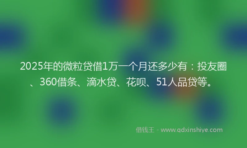 2025年的微粒贷借1万一个月还多少有：投友圈、360借条、滴水贷、花呗、51人品贷等。