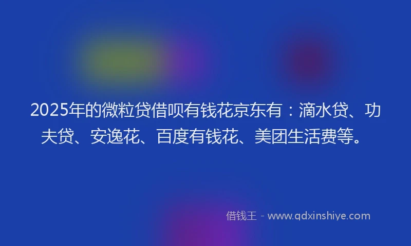 2025年的微粒贷借呗有钱花京东有：滴水贷、功夫贷、安逸花、百度有钱花、美团生活费等。