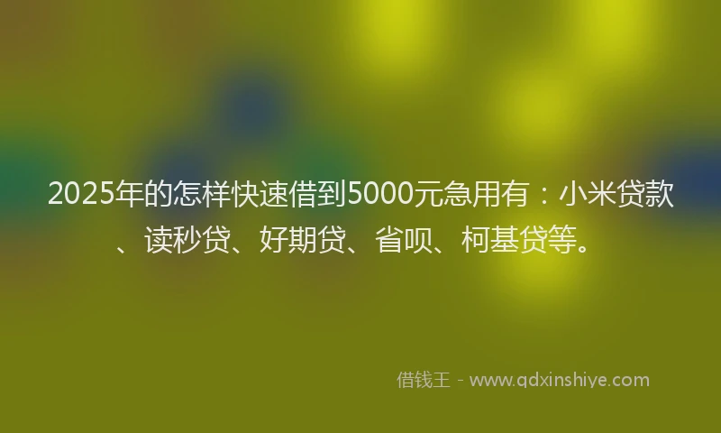 2025年的怎样快速借到5000元急用有：小米贷款、读秒贷、好期贷、省呗、柯基贷等。