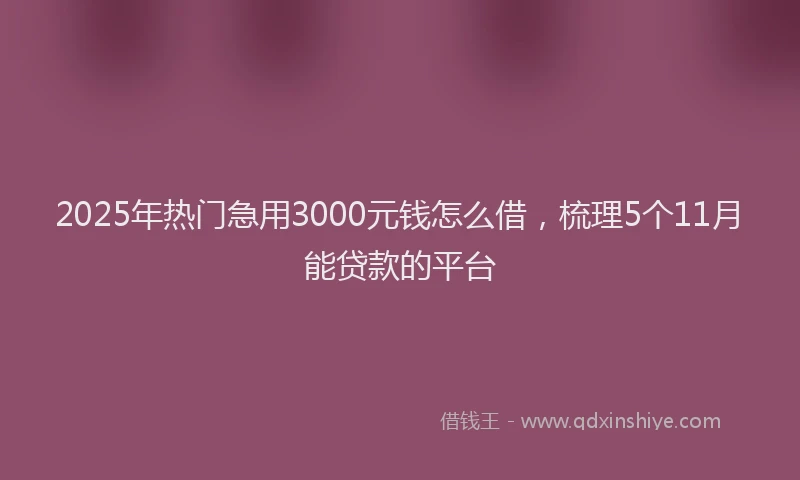 2025年热门急用3000元钱怎么借，梳理5个11月能贷款的平台