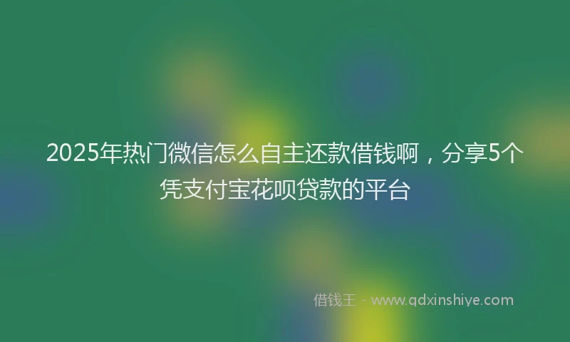 2025年热门微信怎么自主还款借钱啊，分享5个凭支付宝花呗贷款的平台