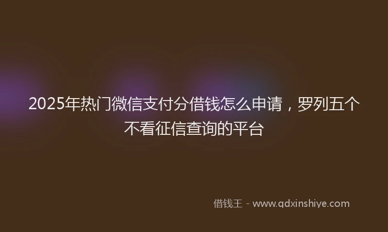 2025年热门微信支付分借钱怎么申请，罗列五个不看征信查询的平台