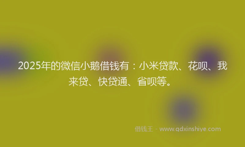 2025年的微信小鹅借钱有：小米贷款、花呗、我来贷、快贷通、省呗等。