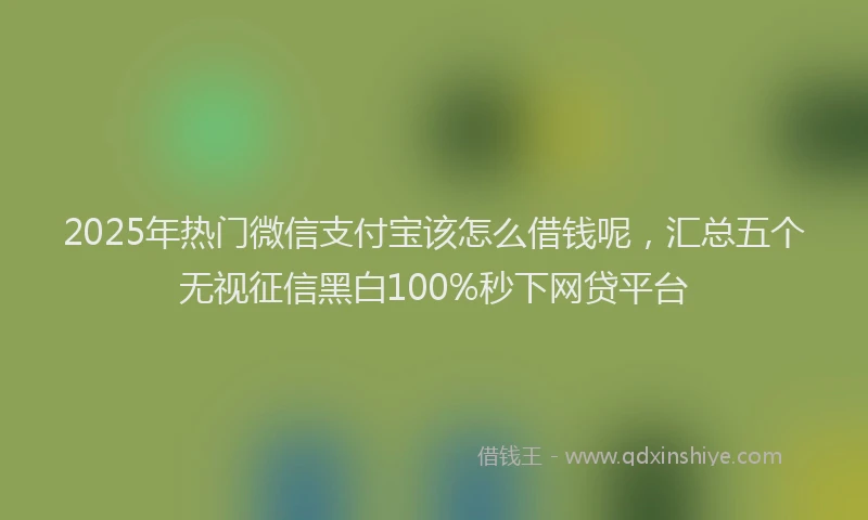 2025年热门微信支付宝该怎么借钱呢，汇总五个无视征信黑白100%秒下网贷平台