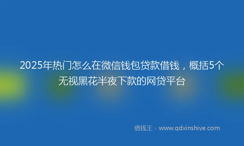 2025年热门怎么在微信钱包贷款借钱，概括5个无视黑花半夜下款的网贷平台