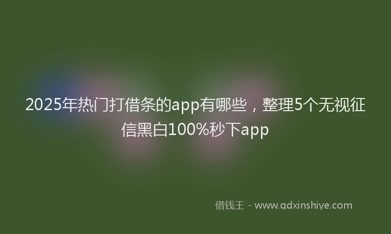 2025年热门打借条的app有哪些，整理5个无视征信黑白100%秒下app