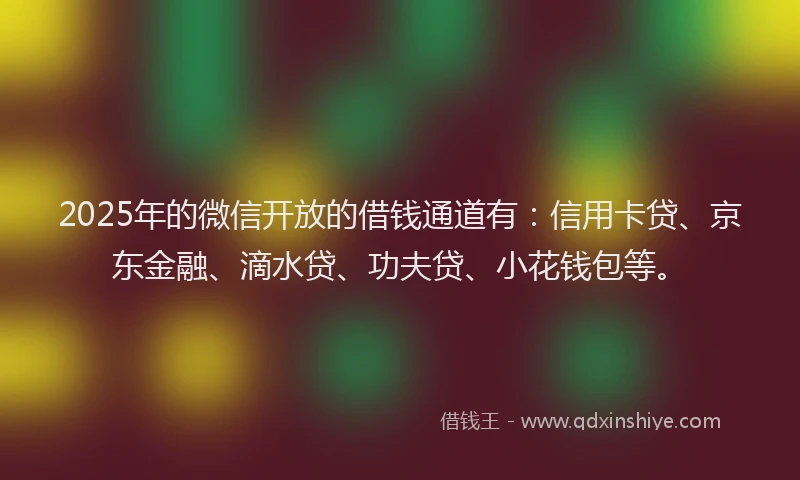 2025年的微信开放的借钱通道有：信用卡贷、京东金融、滴水贷、功夫贷、小花钱包等。