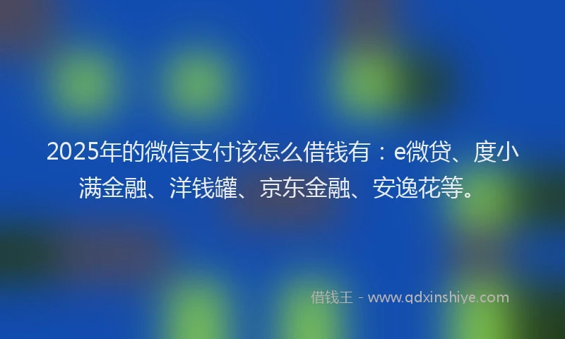 2025年的微信支付该怎么借钱有：e微贷、度小满金融、洋钱罐、京东金融、安逸花等。