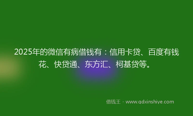 2025年的微信有病借钱有：信用卡贷、百度有钱花、快贷通、东方汇、柯基贷等。