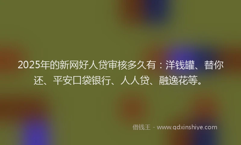 2025年的新网好人贷审核多久有：洋钱罐、替你还、平安口袋银行、人人贷、融逸花等。