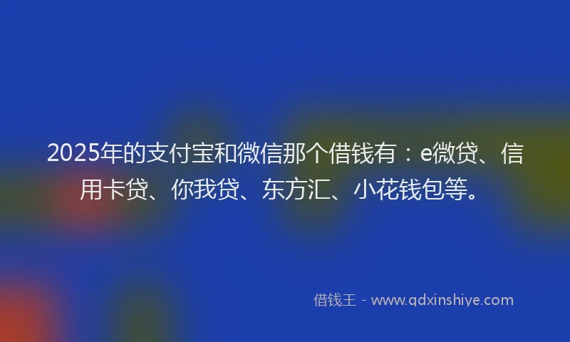 2025年的支付宝和微信那个借钱有：e微贷、信用卡贷、你我贷、东方汇、小花钱包等。