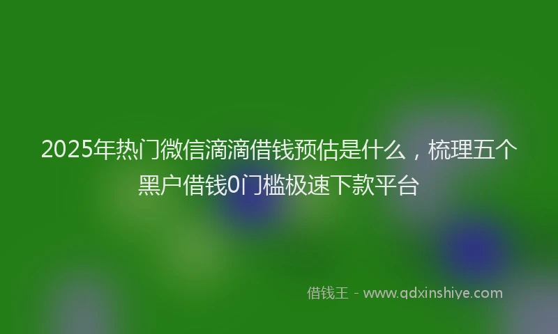 2025年热门微信滴滴借钱预估是什么，梳理五个黑户借钱0门槛极速下款平台
