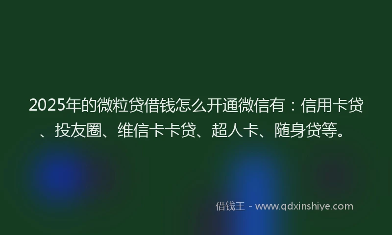 2025年的微粒贷借钱怎么开通微信有：信用卡贷、投友圈、维信卡卡贷、超人卡、随身贷等。