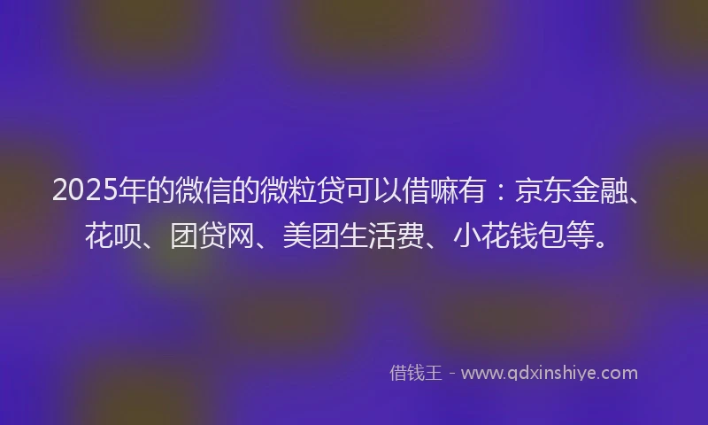 2025年的微信的微粒贷可以借嘛有：京东金融、花呗、团贷网、美团生活费、小花钱包等。