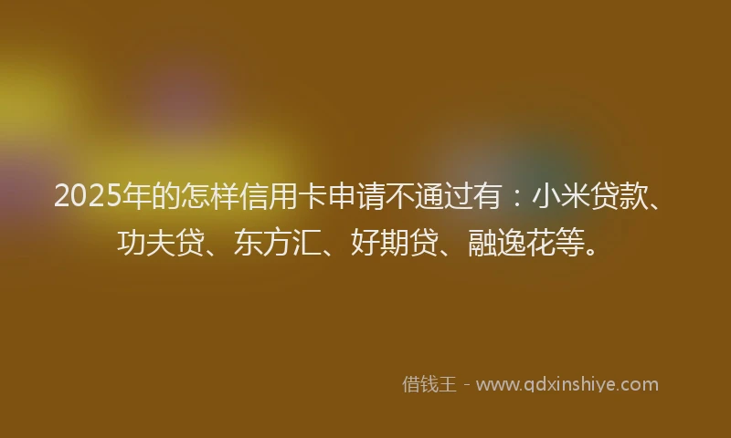 2025年的怎样信用卡申请不通过有：小米贷款、功夫贷、东方汇、好期贷、融逸花等。