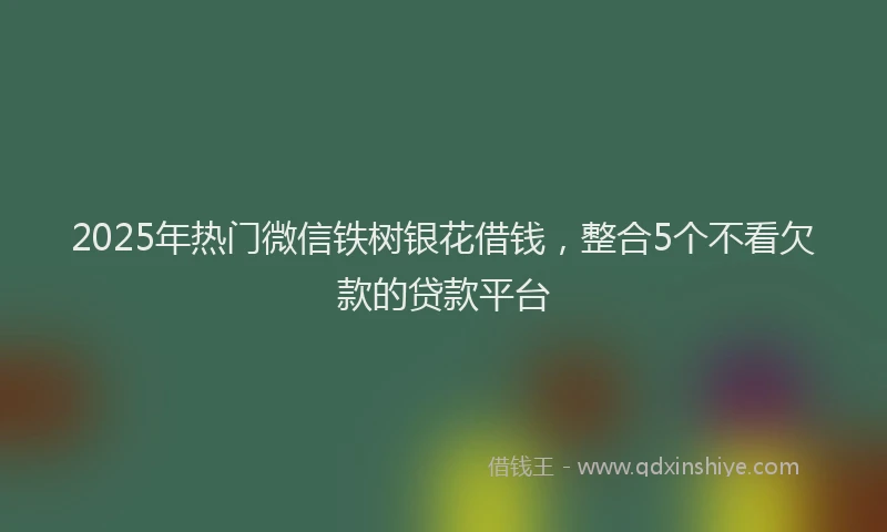 2025年热门微信铁树银花借钱，整合5个不看欠款的贷款平台
