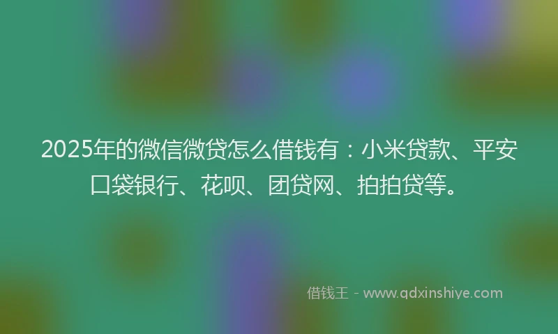 2025年的微信微贷怎么借钱有：小米贷款、平安口袋银行、花呗、团贷网、拍拍贷等。