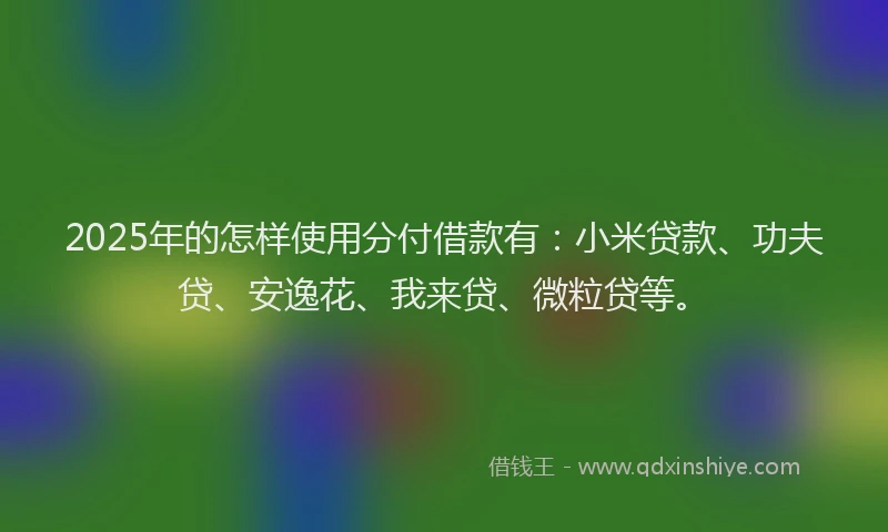 2025年的怎样使用分付借款有：小米贷款、功夫贷、安逸花、我来贷、微粒贷等。