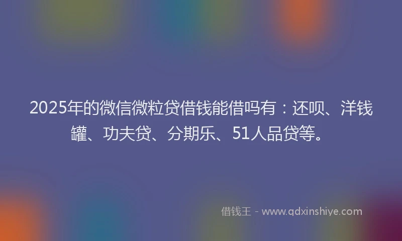 2025年的微信微粒贷借钱能借吗有：还呗、洋钱罐、功夫贷、分期乐、51人品贷等。
