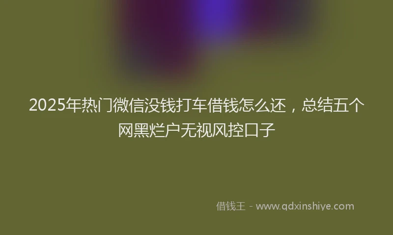 2025年热门微信没钱打车借钱怎么还，总结五个网黑烂户无视风控口子