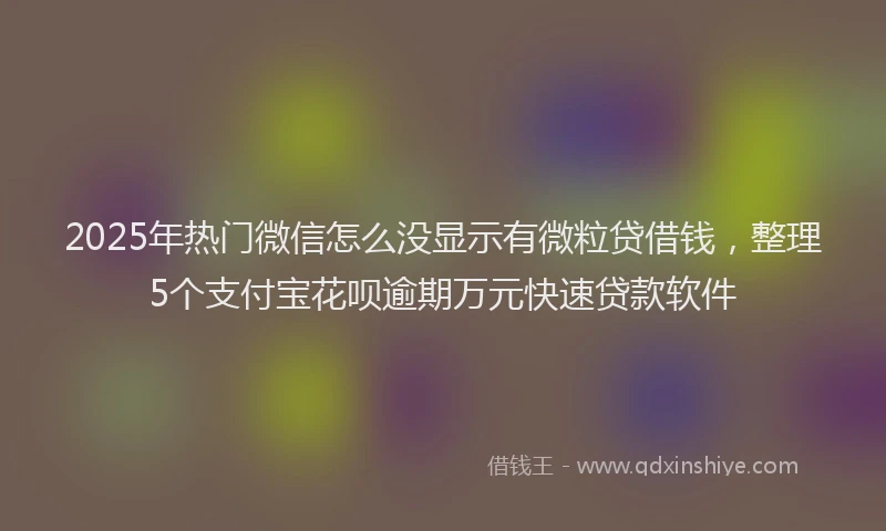 2025年热门微信怎么没显示有微粒贷借钱，整理5个支付宝花呗逾期万元快速贷款软件