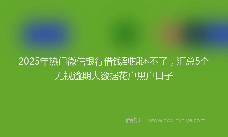 2025年热门微信银行借钱到期还不了，汇总5个无视逾期大数据花户黑户口子