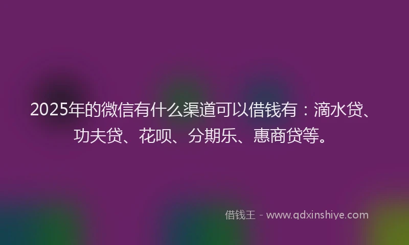 2025年的微信有什么渠道可以借钱有：滴水贷、功夫贷、花呗、分期乐、惠商贷等。
