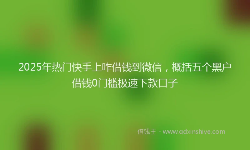 2025年热门快手上咋借钱到微信，概括五个黑户借钱0门槛极速下款口子