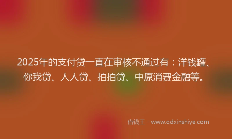 2025年的支付贷一直在审核不通过有：洋钱罐、你我贷、人人贷、拍拍贷、中原消费金融等。