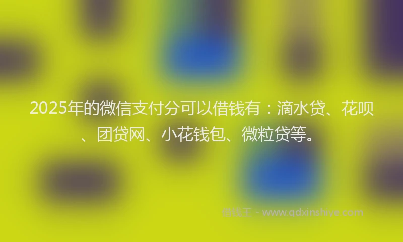 2025年的微信支付分可以借钱有：滴水贷、花呗、团贷网、小花钱包、微粒贷等。