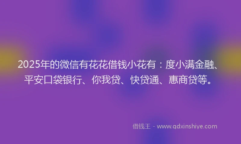 2025年的微信有花花借钱小花有：度小满金融、平安口袋银行、你我贷、快贷通、惠商贷等。