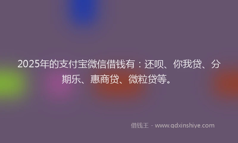 2025年的支付宝微信借钱有：还呗、你我贷、分期乐、惠商贷、微粒贷等。