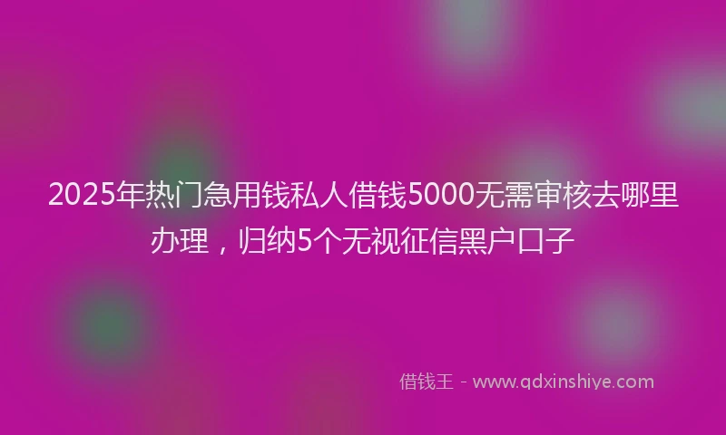 2025年热门急用钱私人借钱5000无需审核去哪里办理，归纳5个无视征信黑户口子
