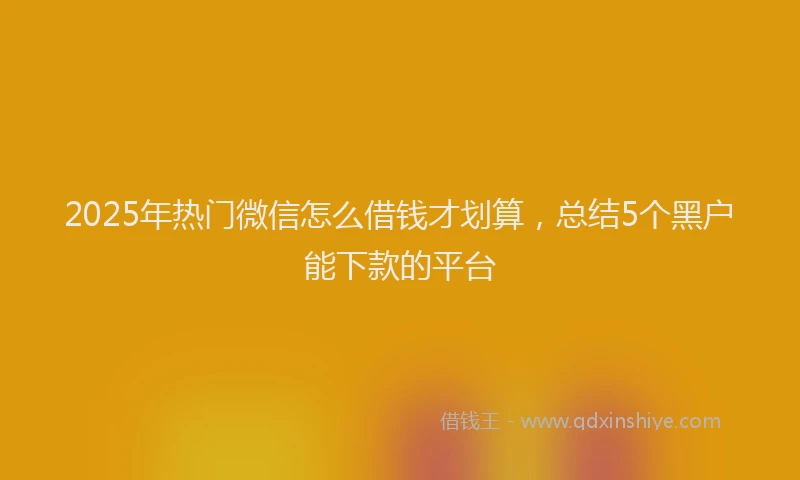 2025年热门微信怎么借钱才划算，总结5个黑户能下款的平台