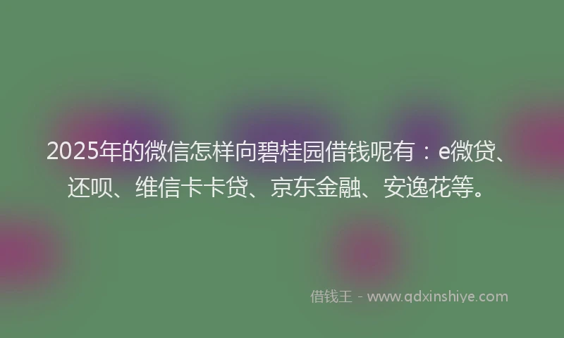 2025年的微信怎样向碧桂园借钱呢有：e微贷、还呗、维信卡卡贷、京东金融、安逸花等。