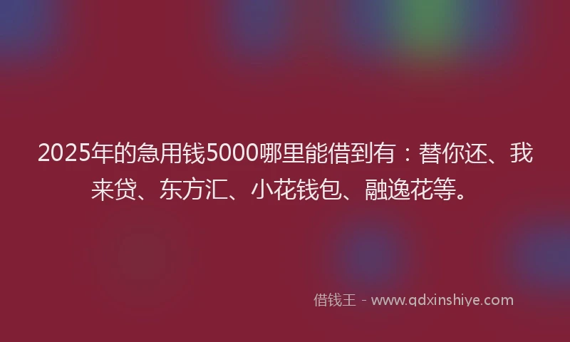 2025年的急用钱5000哪里能借到有：替你还、我来贷、东方汇、小花钱包、融逸花等。