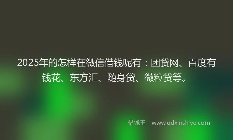 2025年的怎样在微信借钱呢有：团贷网、百度有钱花、东方汇、随身贷、微粒贷等。